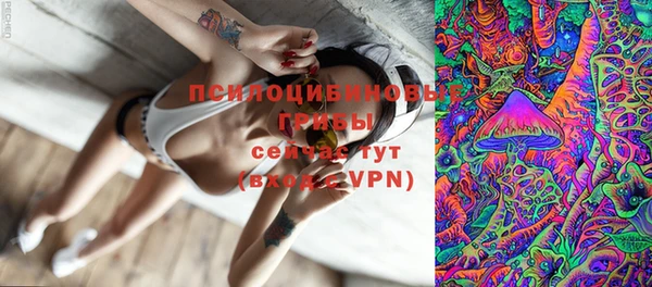 стафф Алексеевка