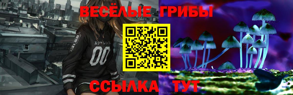 Топки  Псилоцибиновые грибы Psilocybe  Вход с VPN 